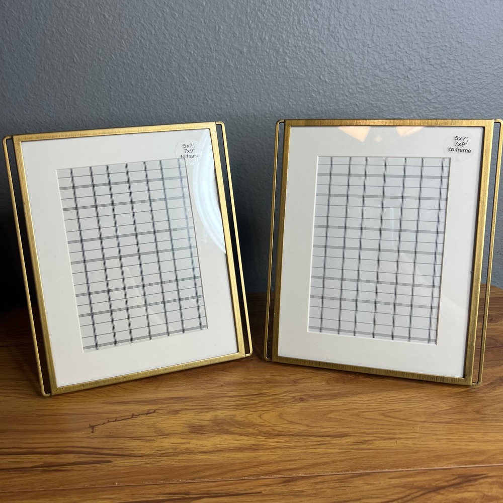 Hearth & Hand Magnolia Brass Tone Metal Frame Set of 2 Modern Farmhouse NEW